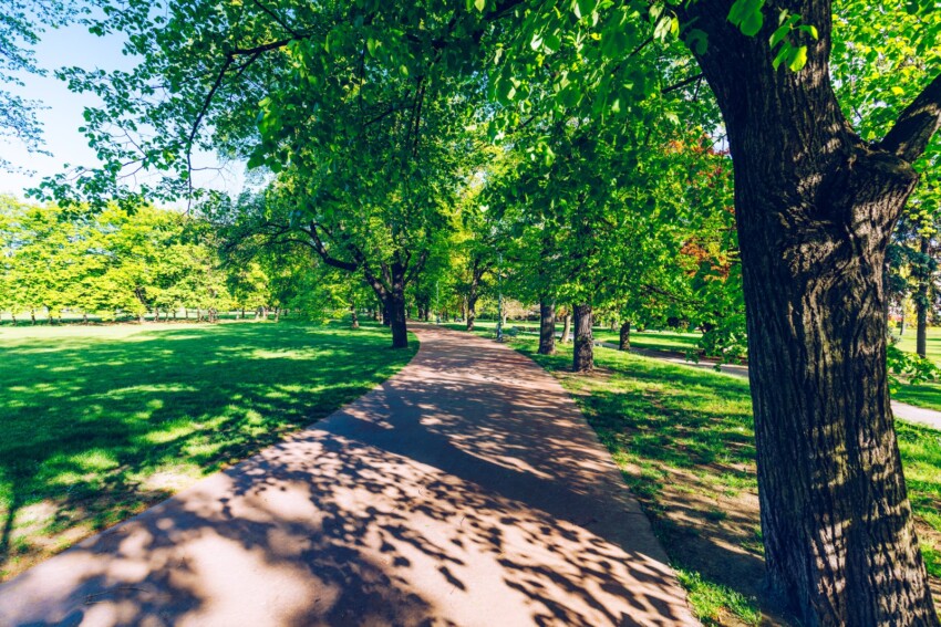 Parque y Jardines de Letná